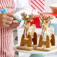 Treat Kitchen - Gingerbread REINDEER Kit (10x750g)