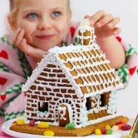 Treat Kitchen - Gingerbread HOUSE Kit (10x830g)